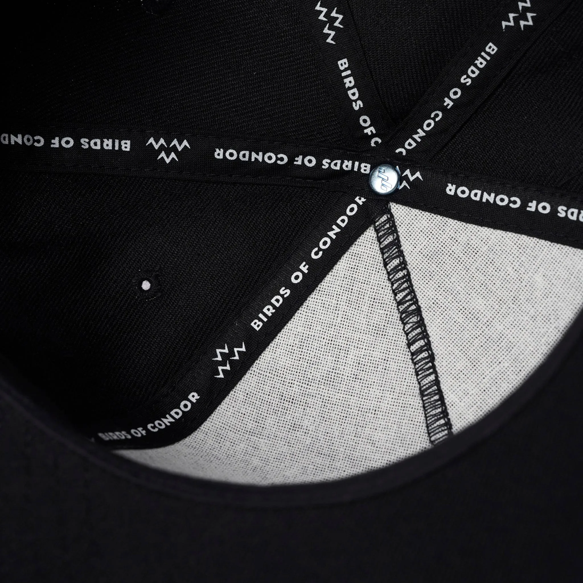 Global Snapback