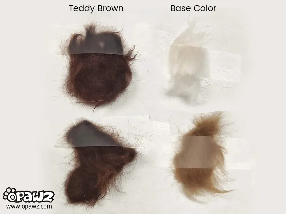 Opawz Permanent Hair Dye - Teddy Brown
